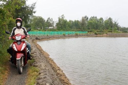 Quảng Ngãi: Hàng chục hộ dân 'khổ sở' vì không có... đường đi