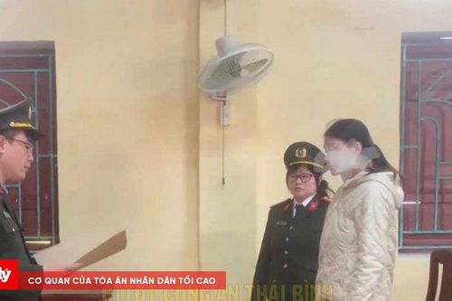 Mang sổ đỏ giả đi vay tiền tiêu xài