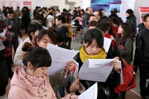 Đầu tư tiền xin việc, hơn 400 tân cử nhân là nạn nhân của vụ lừa đảo 281 tỷ