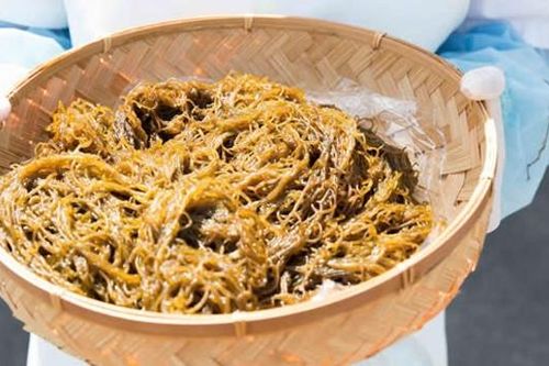 Lợi ích của chất fucoidan từ tảo nâu với sức khỏe