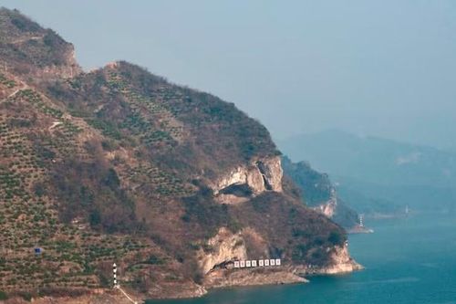 Ngọn đồi trông giống 'chú cún nằm nghỉ' gây sốt mạng xã hội