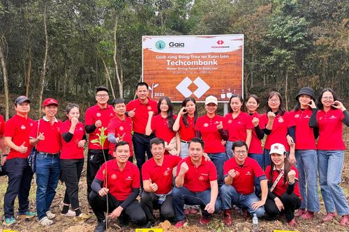 Techcombank tham gia trồng 20.000 cây xanh, hưởng ứng Tết trồng cây