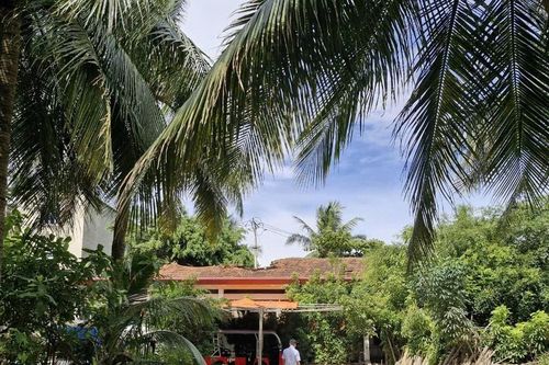 Huyện Nghi Lộc đề nghị UBND tỉnh Nghệ An thu hồi khu đất vàng 'bỏ quên' bên đại lộ Bình Minh