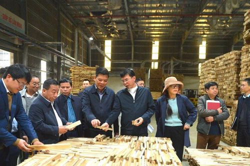 Lãnh đạo tỉnh kiểm tra các cơ sở chế biến băm dăm gỗ tại huyện Quỳ Hợp, Nghĩa Đàn