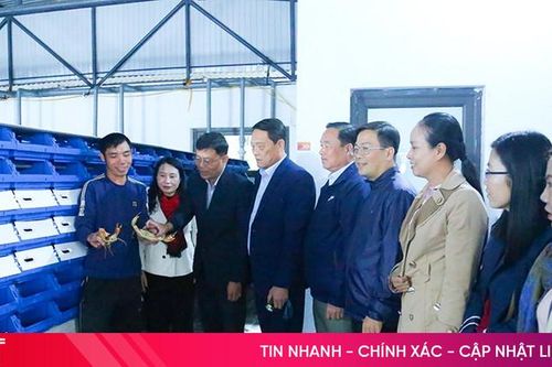 Đoàn công tác Bến Tre ấn tượng với mô hình nông nghiệp TP Hà Tĩnh