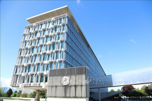 WHO: Châu Âu đang tụt hậu về sức khỏe trẻ em