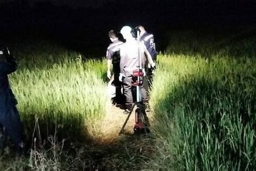 Đi câu, cần thủ phát hiện thi thể người phụ nữ trên cánh đồng lúa
