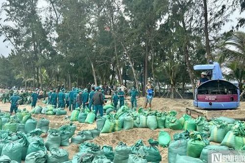 Bờ biển sạt lở, Quảng Ngãi huy động 350 người 'vá' bờ kè