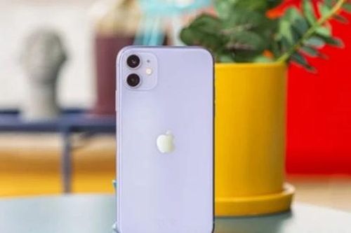 iPhone 11, iPhone 12, iPhone 13 tích cực xả kho, giá rẻ như cho trước thềm mở bán iPhone 16e