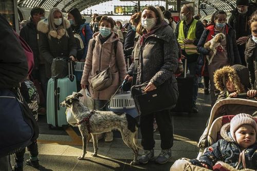 Hầu hết người Ukraine ở nước ngoài không muốn về nước