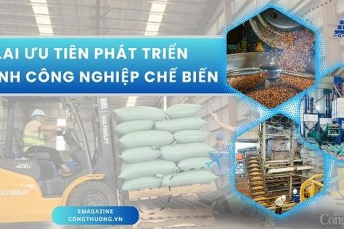 Gia Lai ưu tiên phát triển ngành công nghiệp chế biến