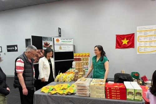 Hợp tác kinh tế Việt Nam - New Zealand: Triển vọng từ FTA