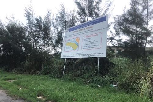 Đà Nẵng cho thuê ngắn hạn 30 khu đất trống chưa sử dụng