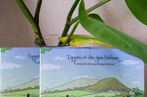 Ra mắt sách 'Sự tích núi Hàm Rồng'