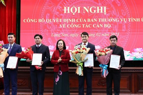 Công bố các quyết định của Ban Thường vụ Tỉnh ủy về công tác cán bộ