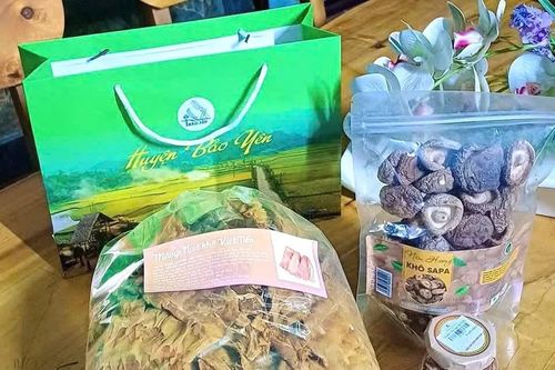 Cho phép sử dụng địa danh 'Việt Tiến - Bảo Yên' và xác nhận bản đồ để đăng ký nhãn hiệu tập thể 'Măng Việt Tiến - Bảo Yên'