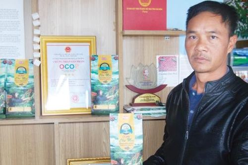Cà phê Chư Mui kết tinh dưỡng chất từ đất lành