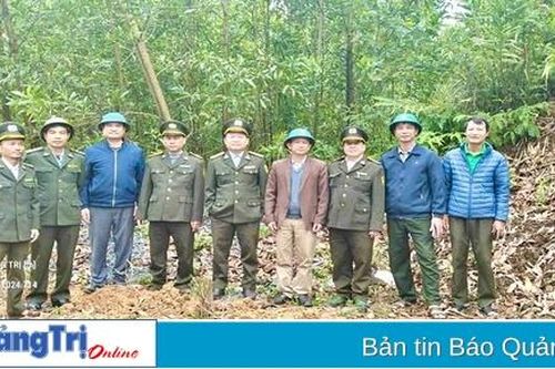 Huyện Gio Linh đẩy mạnh công tác quản lý, phát triển và nâng cao chất lượng rừng