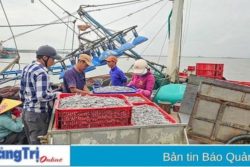 Những chuyến vươn khơi hiệu quả