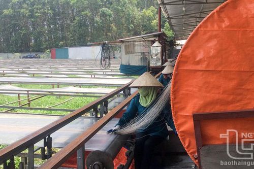 Thái Nguyên: 590 hợp tác xã nông nghiệp duy trì hoạt động ổn định