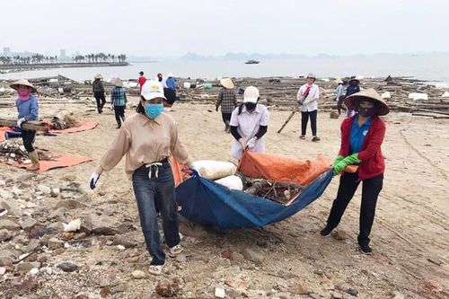 Quảng Ninh: Đẩy mạnh triển khai các mô hình và phong trào thi đua bảo vệ môi trường