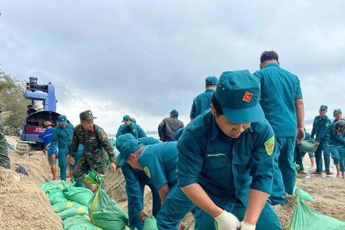 Quảng Ngãi: Huy động hàng trăm người gia cố khẩn cấp bờ biển Mỹ Khê