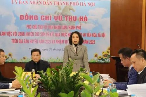 Sóc Sơn cần xác định văn hóa là nguồn lực quan trọng