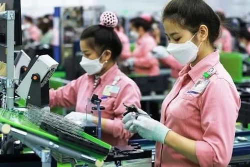 AI và bán dẫn Việt Nam đang hút vốn ngoại