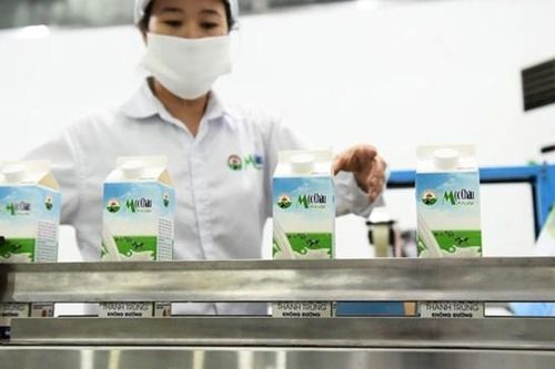 Mộc Châu Milk (MCM) còn gần 780 tỷ đồng chưa sử dụng từ đợt phát hành cổ phiếu năm 2021