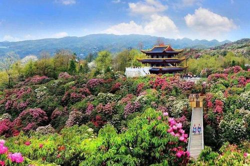 Thúc đẩy trao đổi khách du lịch 2 chiều Hà Nội - Quý Châu