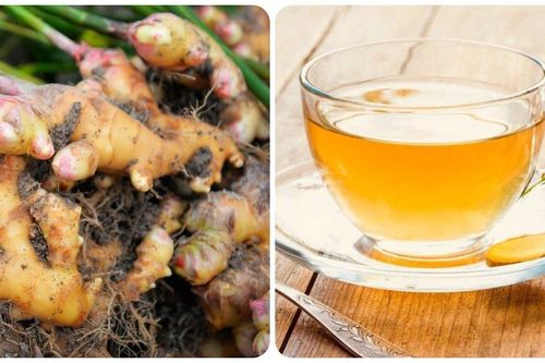 Ai không nên uống nước gừng?