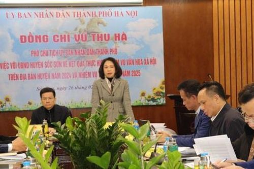 Xây dựng Di tích quốc gia đặc biệt đền Sóc là điểm đến cả năm để hút khách