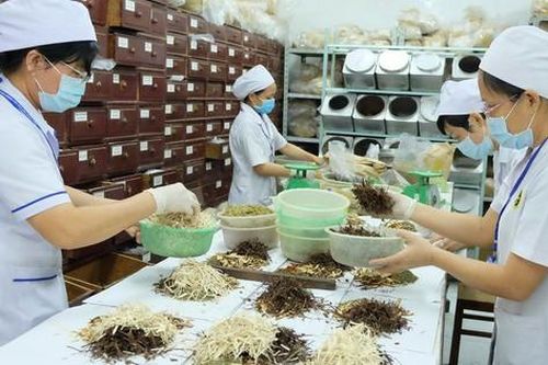 'Nam dược trị Nam nhân', triết lý sâu sắc của Đại danh y Tuệ Tĩnh - người đặt nền móng cho nền y học cổ truyền Việt Nam