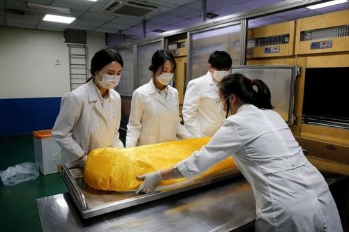 Ngành tang lễ thu hút giới trẻ Hàn Quốc xin việc