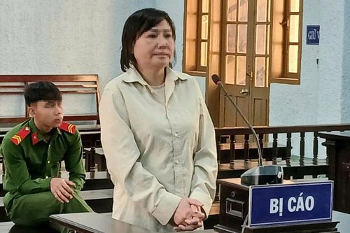 Gia Lai: bản án quá đắt cho người phụ nữ lừa đảo