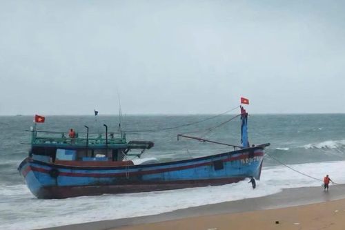 Cứu 11 ngư dân tỉnh Bình Định gặp nạn trên biển