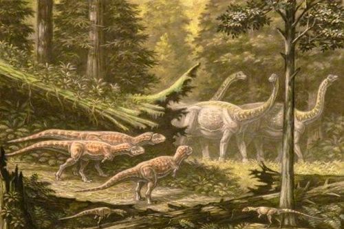 Lộ diện siêu quái thú ở 'vùng đất ma cà rồng', chuyên gia phát sốt