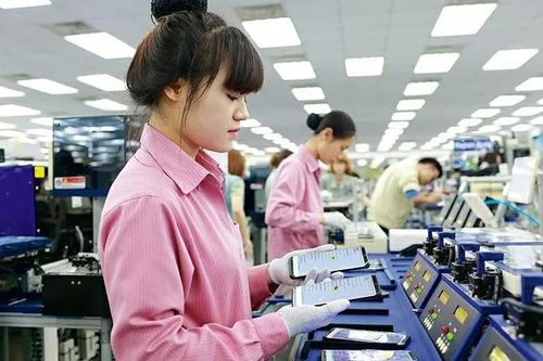 Doanh nghiệp Nhật Bản coi Việt Nam là mắt xích không thể thiếu trong chuỗi cung ứng