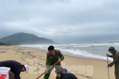 Thu gom 40 tấn dầu vón cục tràn bờ tại vịnh Lăng Cô và vùng lân cận