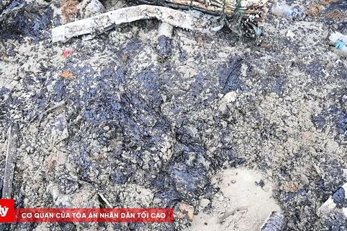 Môi trường ven biển có dầu vón cục trôi dạt như thế nào?