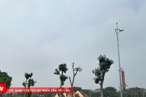 Nhiều sai phạm tại Dự án cải tạo công viên 176,4 tỷ đồng