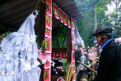 Lời thề giữ rừng của người Mông giữa đại ngàn Nà Hẩu