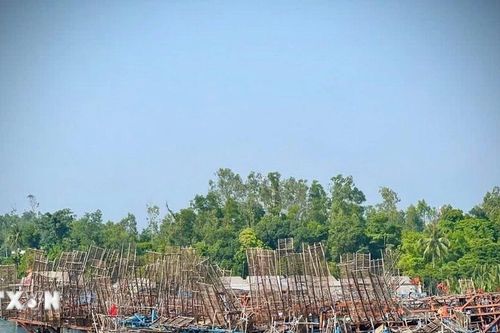 Nỗ lực tìm kiếm ngư dân mất tích khi hành nghề câu mực trên biển