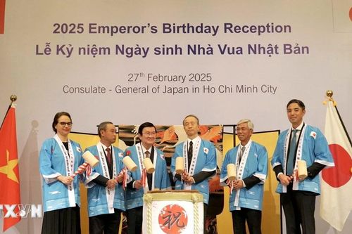Củng cố quan hệ hợp tác giữa Thành phố Hồ Chí Minh và đối tác Nhật Bản