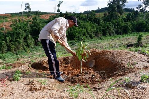 Xây dựng Đảng vững mạnh, bám sát cơ sở vùng dân tộc thiểu số