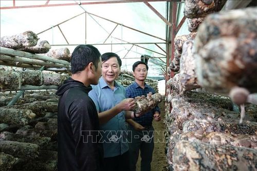 Huyện vùng cao giảm nghèo bền vững nhờ xóa bỏ tư tưởng trông chờ, ỷ lại
