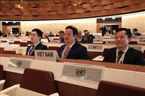 Việt Nam ủng hộ giải trừ quân bị và không phổ biến vũ khí hạt nhân