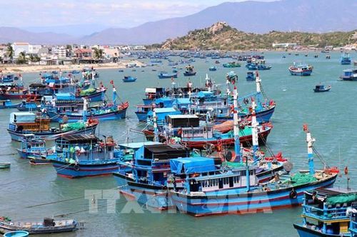 Ninh Thuận phát triển kinh tế biển bền vững