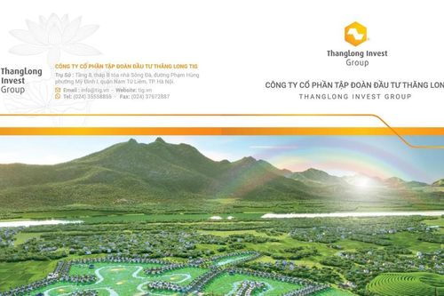 Tập đoàn Đầu tư Thăng Long điều chỉnh báo cáo tài chính từ lỗ thành lãi