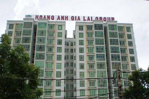 Hoàng Anh Gia Lai giải thể xong một công ty trồng trọt và chăn nuôi